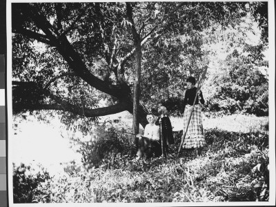 Photographer Wallace Levison's Family By A Tree At The Shrewsbury River On Lawes Farm by Wallace G. Levison Pricing Limited Edition Print image