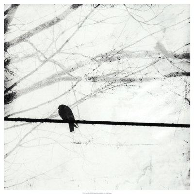 Silver Days Ii by Ingrid Blixt Pricing Limited Edition Print image