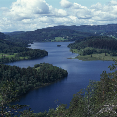 A Lake Amongst Trees And Hills by Sture Traneving Pricing Limited Edition Print image