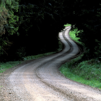 Dirt Road Passing Through A Forest, Sweden by Jorgen Larsson Pricing Limited Edition Print image