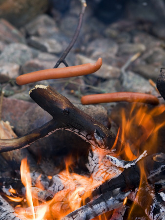 Sausages Being Roasted In A Campfire by Anders Ekholm Pricing Limited Edition Print image