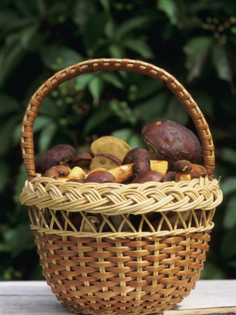 Basketful Of Mushrooms by Frank Chmura Pricing Limited Edition Print image