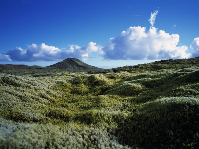 Mossy Landscape And A Mountain In Background, Iceland by Fridrik Orn Hjaltested Pricing Limited Edition Print image