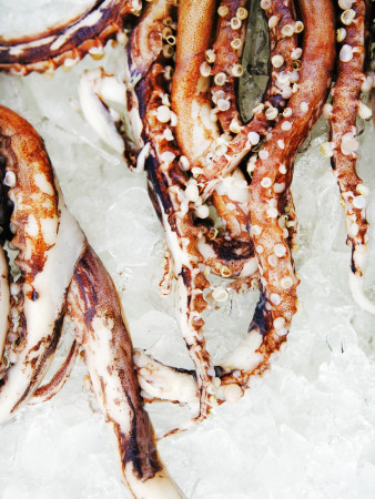 Squid On Ice by Gunnar Svanberg Skulasson Pricing Limited Edition Print image