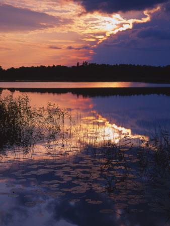 Reflection On Clouds In A Lake by Jorgen Larsson Pricing Limited Edition Print image