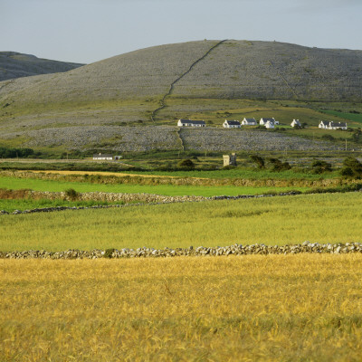 The Burne In County Clare, Ireland by Joe Cornish Pricing Limited Edition Print image