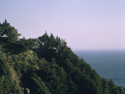 Wild Bird, Big Sur, California, 1957, View Out To Big Sur, Architect: Nathaniel And Margaret Owings by Alan Weintraub Pricing Limited Edition Print image