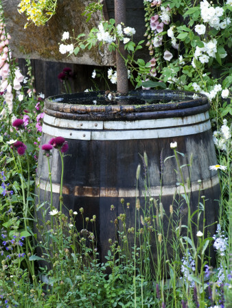 Traditional Barrel Water Butt For Collecting Rainwater by Clive Nichols Pricing Limited Edition Print image