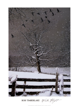 Winter Flight by Bob Timberlake Pricing Limited Edition Print image