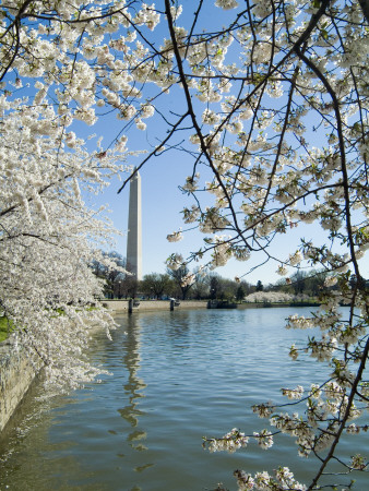 Washington Monument, Washington Dc, 1884, Architect: Robert Mills by Natalie Tepper Pricing Limited Edition Print image