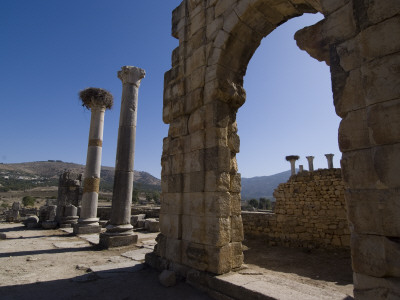 Basilica, Numidian, Roman Site Of Volubilis, Near Meknes, Morocco by Natalie Tepper Pricing Limited Edition Print image