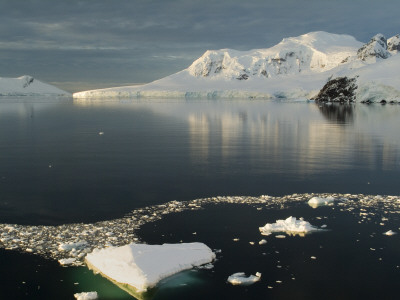 Paradise Harbor, Antarctica by Natalie Tepper Pricing Limited Edition Print image