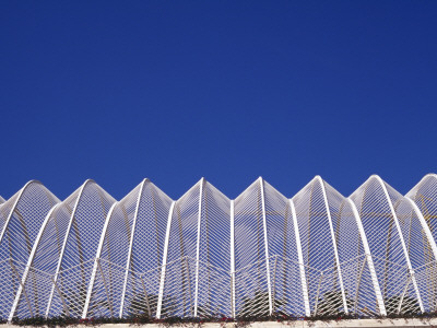 L'umbracle / Promendade And Coach Park, City Of Arts And Sciences, Valencia by Patrick Brice Pricing Limited Edition Print image