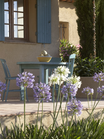 La Mas, Modern Traditional Style Provencal House, Veranda, Architect: Chris Rudolf by Richard Bryant Pricing Limited Edition Print image