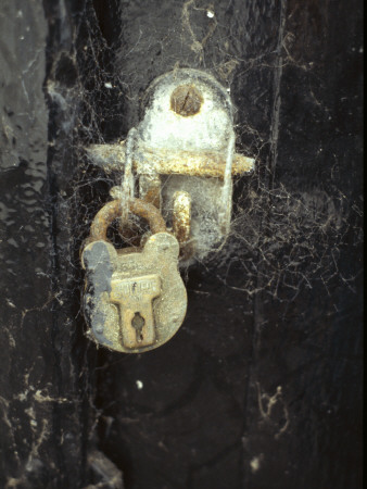 Padlock And Cobwebs by Ruth Marler Pricing Limited Edition Print image