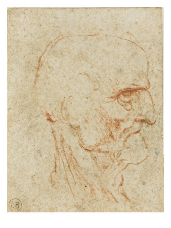 Tête De Vieillard Imberbe, De Profil À Droite by Léonard De Vinci Pricing Limited Edition Print image