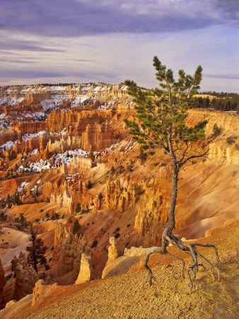 Snow Amid Spires, Bryce Canyon National Park, Utah, Usa by Charles Crust Pricing Limited Edition Print image