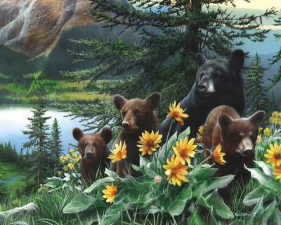 Basking In The Balsams by Kevin Daniel Pricing Limited Edition Print image