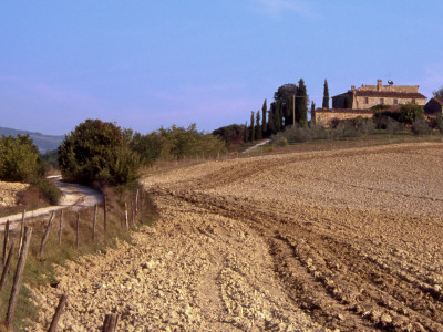 Tilled Field, Chianti by Eloise Patrick Pricing Limited Edition Print image