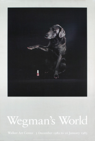 Fey Rey (Wegman's World) by Will Wegman Pricing Limited Edition Print image