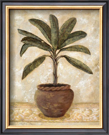 Potted Palm I by Charlene Winter Olson Pricing Limited Edition Print image
