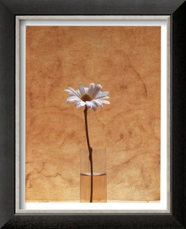 White Daisy by Helen Buttfield Pricing Limited Edition Print image