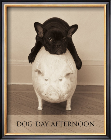 Dog Day Afternoon by Jim Dratfield Pricing Limited Edition Print image