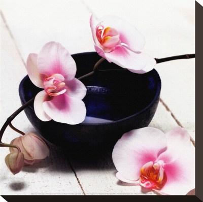 Orchid In A Bowl by Stephane De Bourgies Pricing Limited Edition Print image