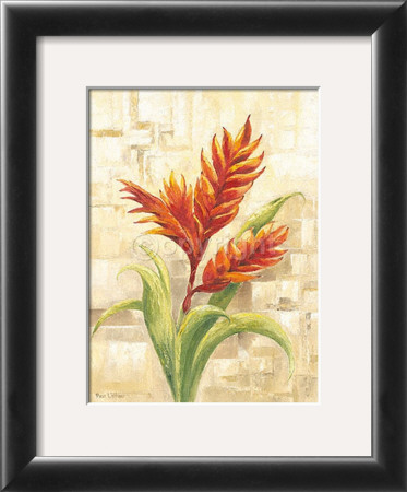 Tropical by Rian Withaar Pricing Limited Edition Print image