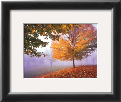 Autumn Mist by Mike Jones Pricing Limited Edition Print image