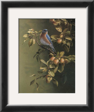 Merle, Bleu by Pierre Leduc Pricing Limited Edition Print image