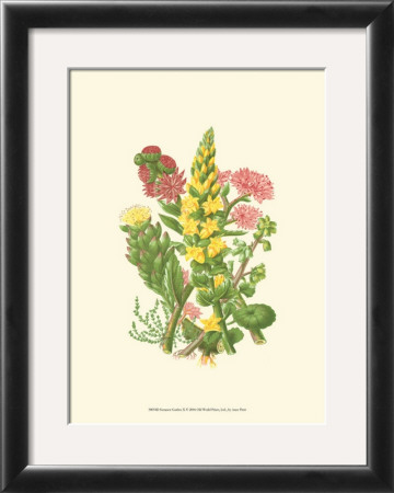 Summer Garden X by Anne Pratt Pricing Limited Edition Print image