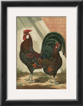 Roosters V by Cassell Pricing Limited Edition Print image