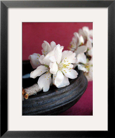 White Blossom by Amelie Vuillon Pricing Limited Edition Print image