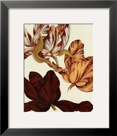 Tulip Ii by Sophie Coryndon Pricing Limited Edition Print image