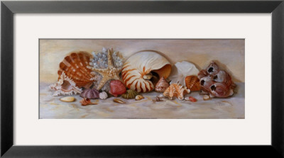 Ocean Still Life Ii by Nancy Wiseman Pricing Limited Edition Print image