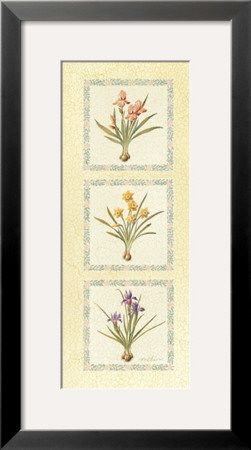Floral Bulbs I by T. C. Chiu Pricing Limited Edition Print image
