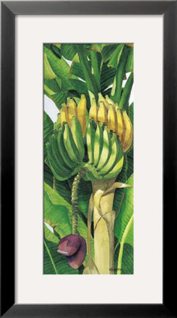 Bananas by Penny Gupton Pricing Limited Edition Print image