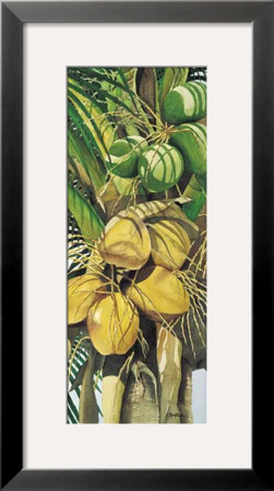 Coconut by Penny Gupton Pricing Limited Edition Print image