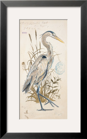 Great Blue Heron by Chad Barrett Pricing Limited Edition Print image