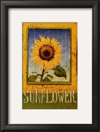 Sunflower by Thomas Laduke Pricing Limited Edition Print image