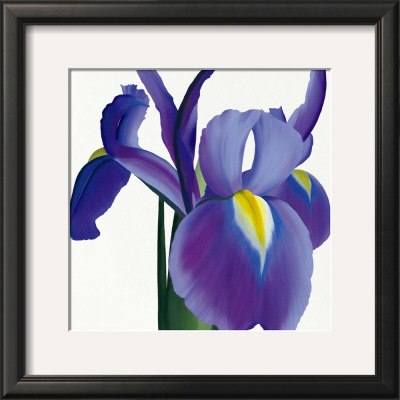 Iris by Stephanie Andrew Pricing Limited Edition Print image