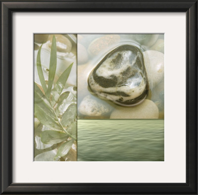 Zen Elements Iv by Donna Geissler Pricing Limited Edition Print image