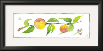 Peach Branch by Robbin Gourley Pricing Limited Edition Print image