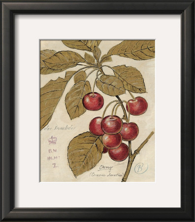 Cherry Etching by Chad Barrett Pricing Limited Edition Print image