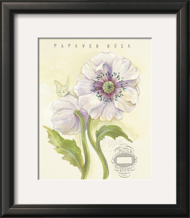 Claire’S Garden Poppy by Elissa Della-Piana Pricing Limited Edition Print image