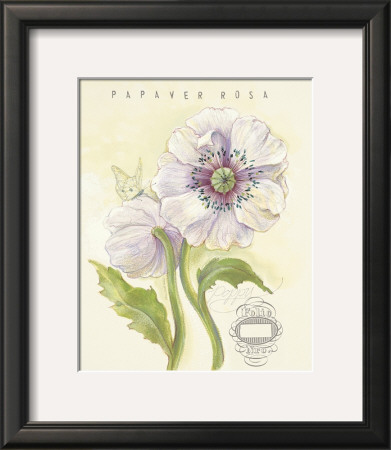 Claire's Garden Poppy by Elissa Della-Piana Pricing Limited Edition Print image