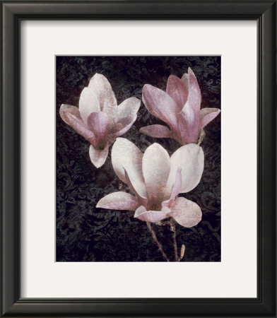 Pink Magnolias Ii by John Seba Pricing Limited Edition Print image