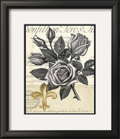 Fleur-De-Lis Rose by Devon Ross Pricing Limited Edition Print image