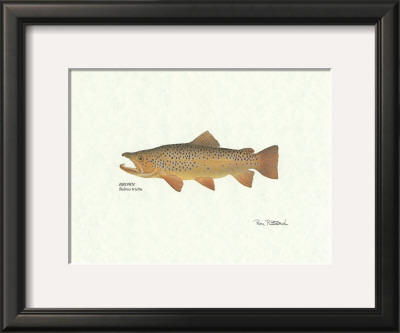 Brown Trout by Ron Pittard Pricing Limited Edition Print image